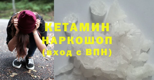 прущие грибы Новозыбков