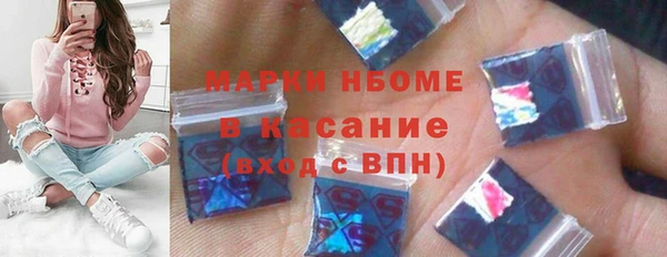 прущие грибы Новозыбков