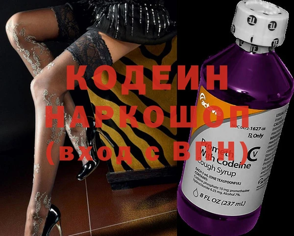 прущие грибы Новозыбков