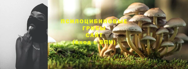 винт Покачи