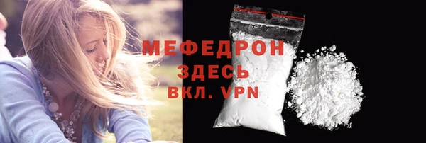 прущие грибы Новозыбков