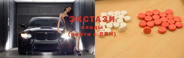 прущие грибы Новозыбков
