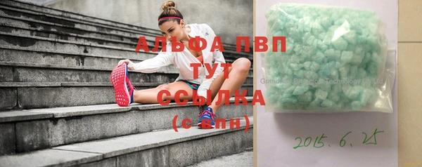 прущие грибы Новозыбков