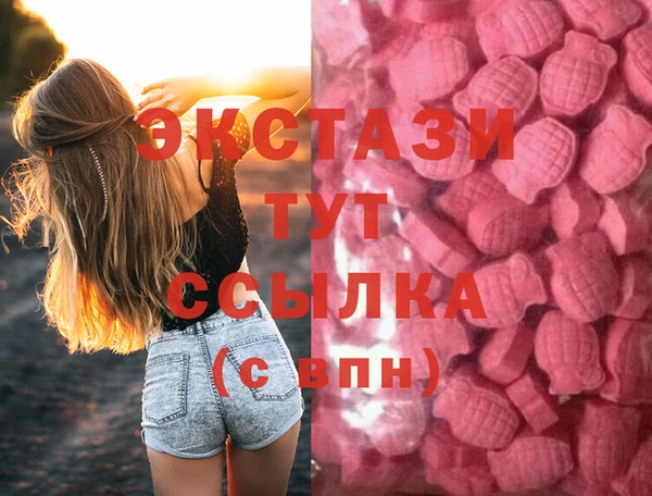 прущие грибы Новозыбков