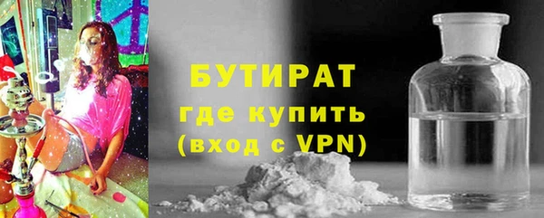 прущие грибы Новозыбков