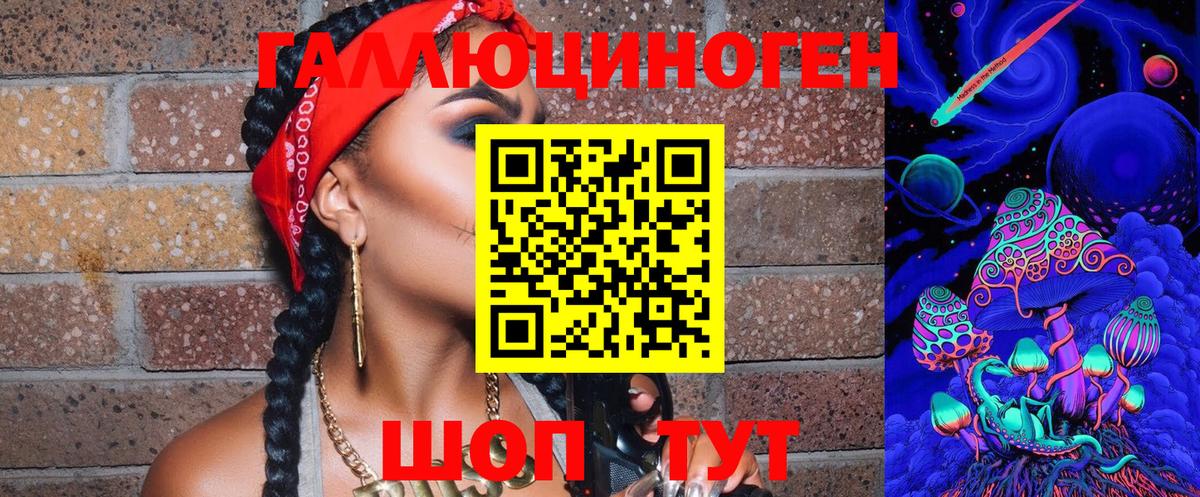 Псилоцибиновые грибы Psilocybe  Куйбышев 