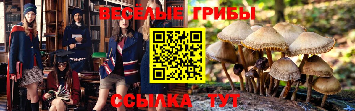 Куйбышев  Псилоцибиновые грибы мухоморы  Псилоцибиновые грибы мицелий  Вход с VPN 